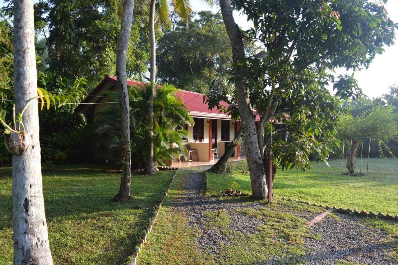 Bed and Breakfast Zum Deutschen Бентота Екстер'єр фото